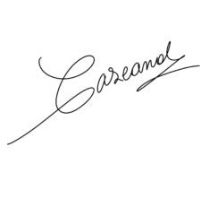 Opinión Editorial Adarve – Camila Segovia