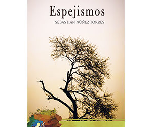 Sebastián Núñez Torres – Espejismos