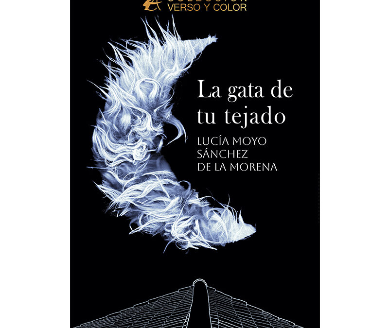 Lucía Moyo Sánchez de la Morena – La gata de tu tejado