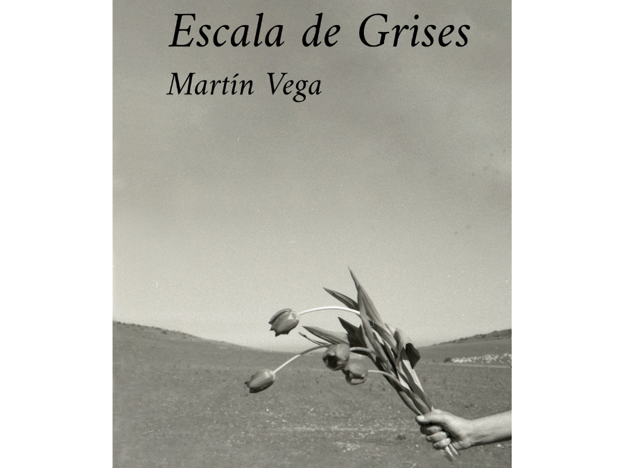 Martín Vega – Escala de grises