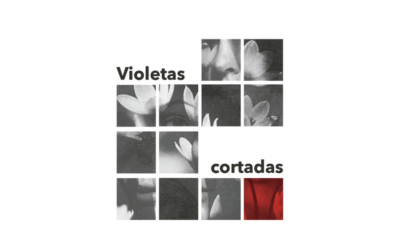 Violetas cortadas – Antonio Navarro Barriga