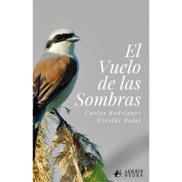El vuelo de las sombras