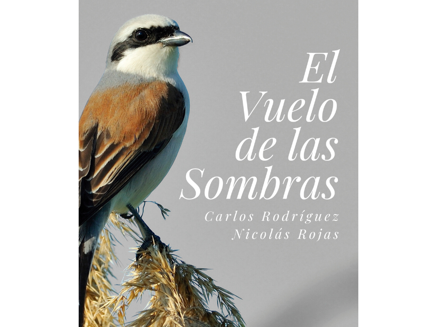 El vuelo de las sombras – Carlos Rodríguez y Nicolás Rojas 