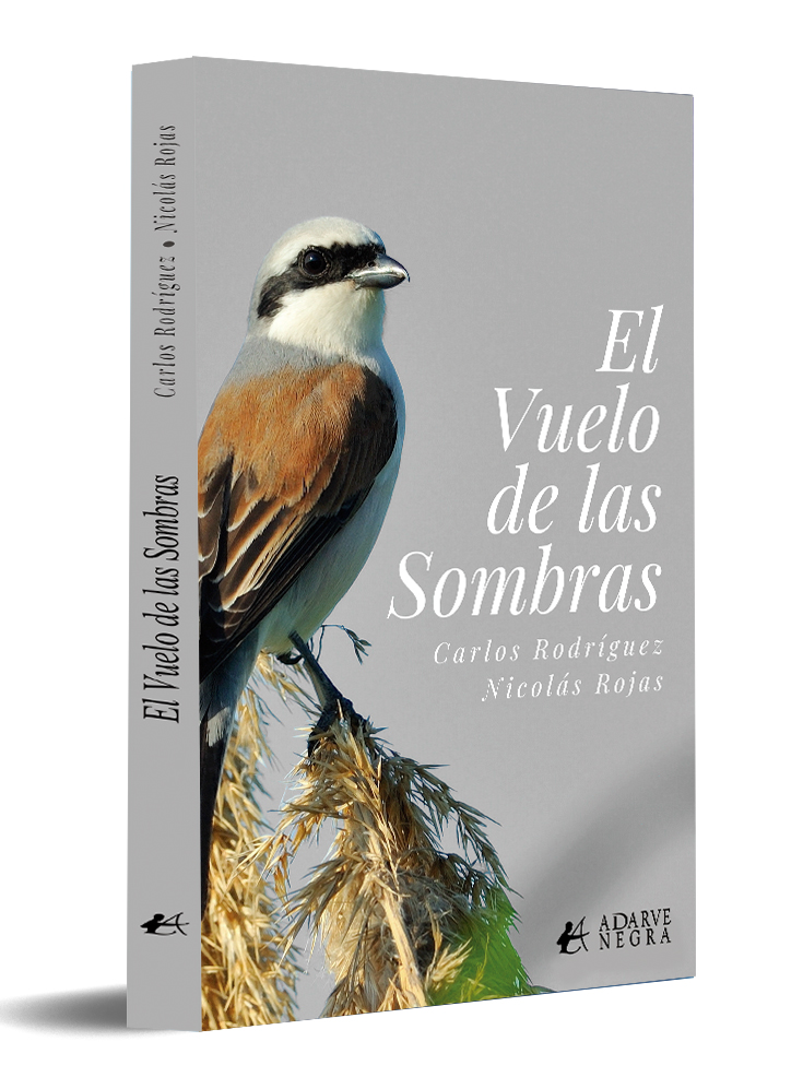 portada El vuelo de las sombras - Carlos Rodríguez y Nicolás Rojas